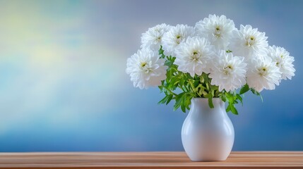 White Chrysanthemum Bouquet in Vase - Elegant white chrysanthemum flowers arranged in a simple white vase on a wooden surface against a soft blue background