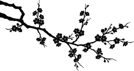Cherry blossom branch silhouette, floral tree art, black and white flower design, spring botanical illustration, Japanese sakura bloom vector
