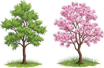 Obraz premium Cherry blossom tree, green leafy tree, spring landscape, floral contrast, nature scene, blooming season, garden beauty, vibrant outdoor foliage