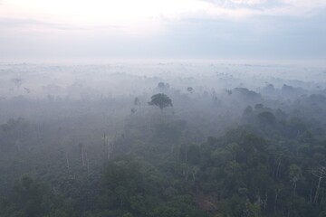 Vast mist-covered forest landscape in the heart of South America