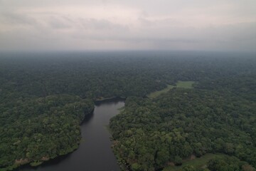 Lush green rainforest landscape beside a winding river during cloudy day