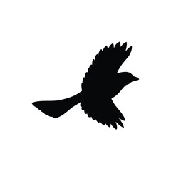 silhouette vector illustration of a bird