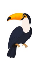 Naklejka premium Colorful toucan illustration