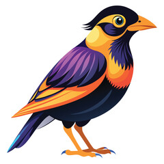 Vibrant Geometric Myna Bird Vector Illustration for Exotic Wildlife, Bold Branding, and Dynamic Logo Design, Isolated on White Background.

