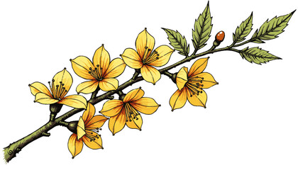 Fototapeta premium Delicate Yellow Blossoms on Spring Branch with Intricate Detail