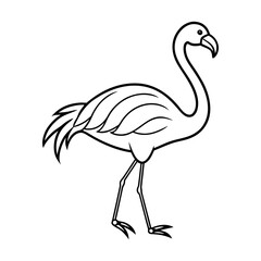 vector illustration of a flamingo