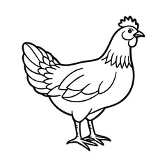 vector illustration of a chicken