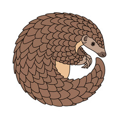 
pangolin illustration design