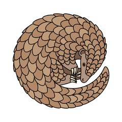 
pangolin illustration design