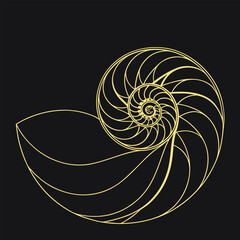 Obraz premium Golden Nautilus Shell Spiral Geometric Pattern on Black Background vector