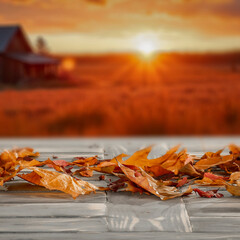 Autumn still life and blurred  cozy seasonal mood background with copy space for product placement. Autumn-themed marketing, outdoor lifestyle concepts, seasonal advertising,nature-inspired mockups.