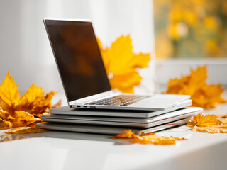 stack of  Laptop on light background with autumn leaves scattered around, warm cozy autumn vibe, sunlight, realistic photo style