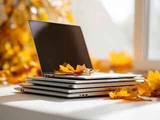 stack of  Laptop on light background with autumn leaves scattered around, warm cozy autumn vibe, sunlight, realistic photo style