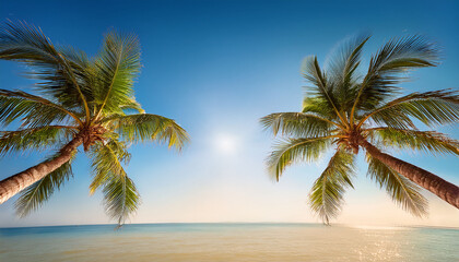 Two Palm Tree Tropical Landscape With Clear Blue Sky And Bright Sunlight Peaceful Summer Mood