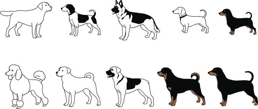 Қақпақтардағы сперматозоидтардың фотосуреттері Қияр бейнеленген онлайн порно видео