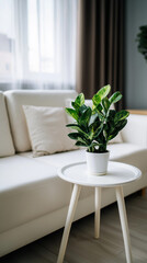 White pot with green plant on coffee table in modern living room. 

