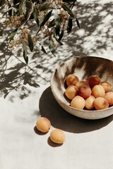 Fresh apricots in a handmade ceramic bowl under dappled sunlight, casting soft shadows on a linen table. A poetic celebration of slow food and nature.