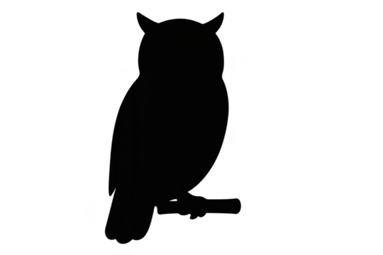 Majestic owl silhouette standing on a branch, isolated on transparent background