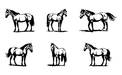Six Silhouetted Horse Illustrations for Design