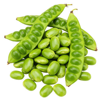 Fresh green parkia speciosa beans isolated on transparent background