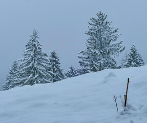 Tiefschnee Pfanngraben Mangfallgebirge