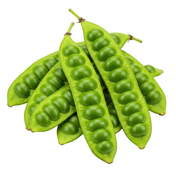 Fresh green parkia speciosa pods isolated on transparent background