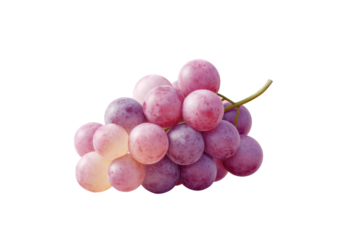 Fresh purple grapes cluster on black background, cut out