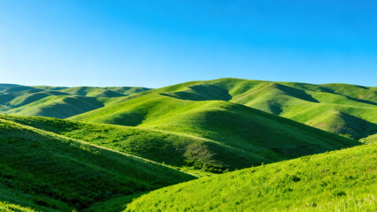 Obraz premium Serene Rolling Green Hills
