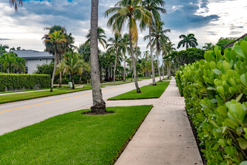 Layered hedges and bright turf. Professional curbside landscaping.