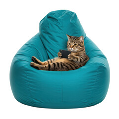 Relaxed tabby cat using smartphone in teal bean bag chair isolated on transparent background