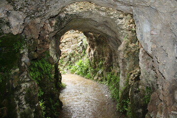 ruins of the old castle