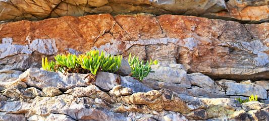 Close-up of rugged rocky terrain with layers of weathered stone and sparse patches of green grass and vegetation growing in crevices under sunlight.