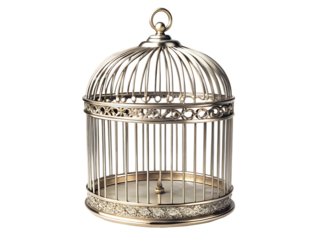 Detailed Silver Birdcage with Ornate Filigree and Jewels on White Background metal isolated on a transparent background