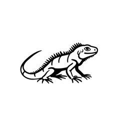 Obraz premium Iguana. Iguana simple black and white line art vector logo