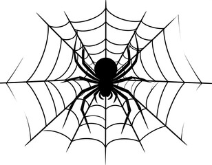 Silhouetted spider in intricate web