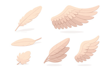 Feather and Wing Collection. Isometric vector illustration set feather flight wing molt: quill feather floating, spread eagle wing