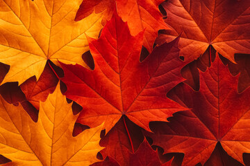 Seamless background of overlapping red and gold maple leaves; rich seasonal texture. generative AI