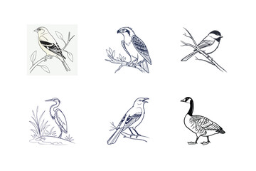 Set Of Vector Birds