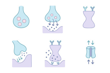 Synapse Communication Diagram. Isometric vector illustration set Synapse Communication: presynaptic terminal bulb,