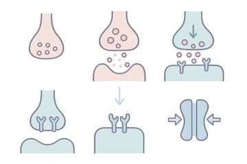 Synapse Communication Diagram. Isometric vector illustration set Synapse Communication: presynaptic terminal bulb,