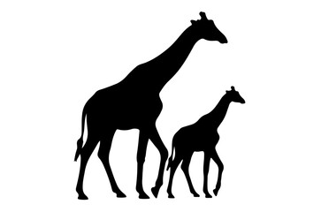 Obraz premium Giraffe Mom and Baby Silhouette - Mother and Calf Walking Side by Side 