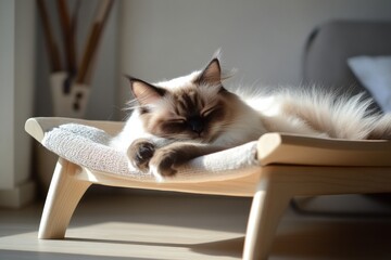 A serene moment captured as a fluffy cat sleeps peacefully on a wooden cat bed, basking in warm sunlight, reflecting the pure essence of comfort and relaxation.