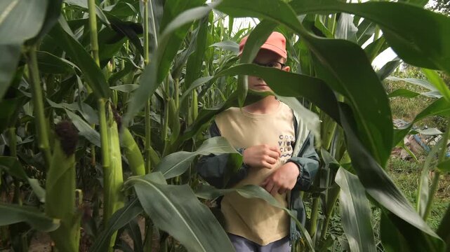 child wearing a cap and glasses hiding in the cornfield