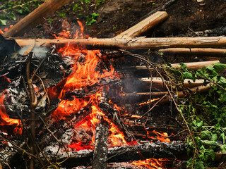A pile of burning branches and leaves with smoke in the background. Scene is one of destruction and chaos and attention captivating. Outdoor travel and camping. Cooking food in wild.