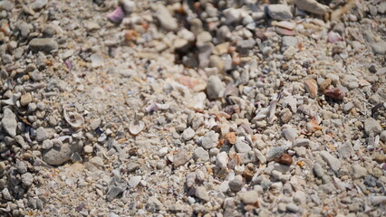 Macro photo of beach surface with sand, pebbles, shells, and small stones in natural sunlight. Detailed background texture for design, travel, and nature concepts
