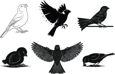 Bird illustrations in diverse artistic styles, line art, silhouette, geometric, cartoon, vector design collection
