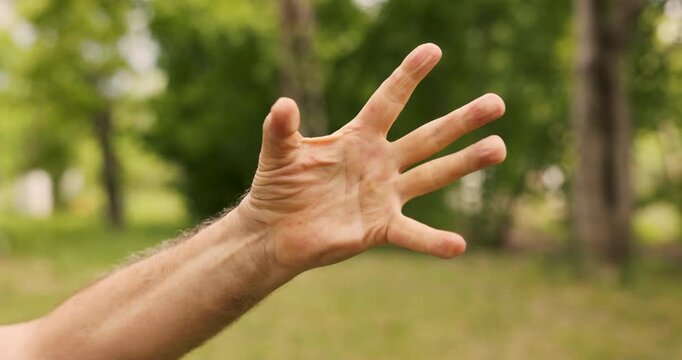 Creative hand gestures in nature showcase expressive communication and body language