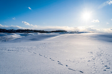 雪に覆われた鳥取砂丘