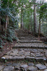 石の階段を登る