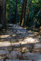 石の階段を下る